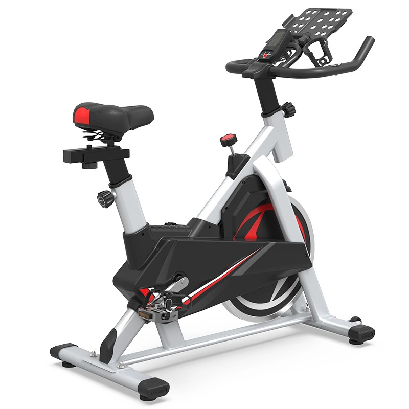 Bici di esercizio d'acciaio ad alto tenore di carbonio della bicicletta della palestra della bicicletta della bici di esercizio del corpo di misura della trasmissione magnetica della cinghia