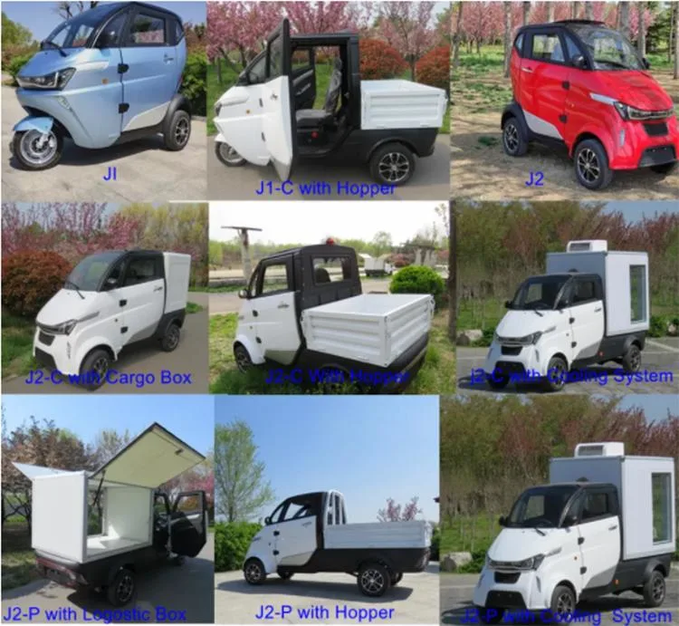 Triciclo elettrico di consegna del carico della batteria al litio del circuito idraulico di New Energy con le cinture di sicurezza