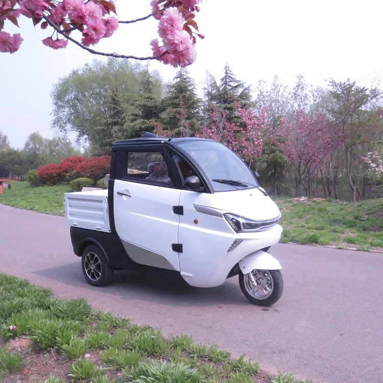 Triciclo elettrico di consegna del carico della batteria al litio del circuito idraulico di New Energy con le cinture di sicurezza