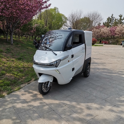 Un triciclo elettrico di 3 ruote del triciclo grasso idraulico della batteria al litio con le cinghie